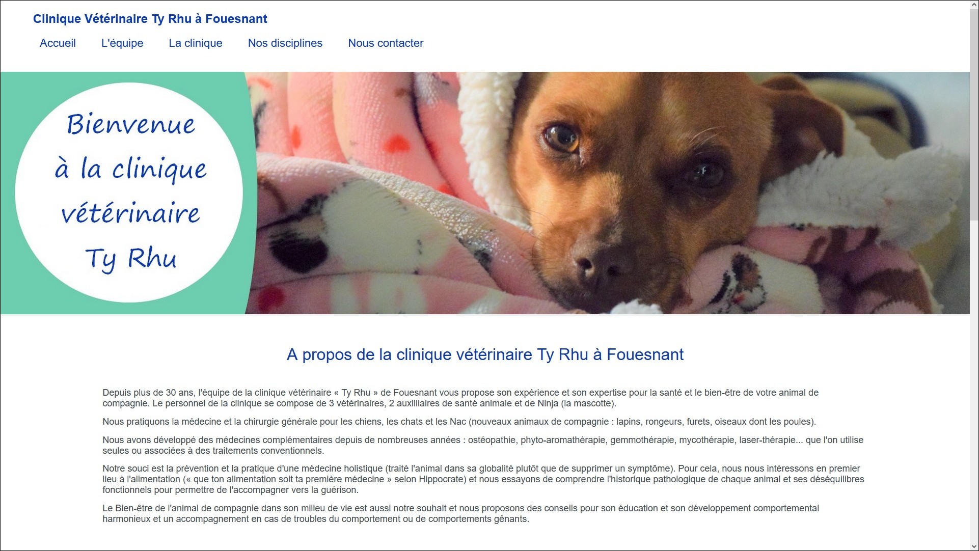 exemple de site web pour clinique une vétérinaire fait avec rapido web